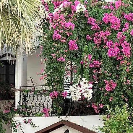 Ξενοδοχείο Mare Garden Turgutreis
