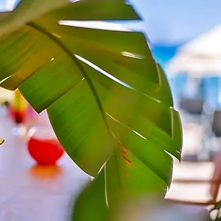 Mare Garden Ξενοδοχείο Turgutreis