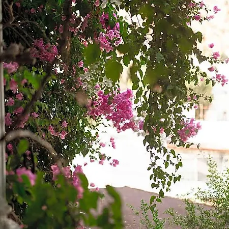 Mare Garden Ξενοδοχείο 4*